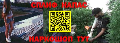 мдпв Гусь-Хрустальный
