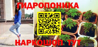прущие крисы Гусиноозёрск