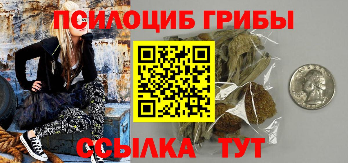Галлюциногенные грибы Psilocybine cubensis Лыткарино